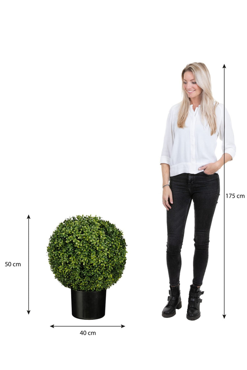 Mica Decorations Kunstplant Boxwood - 40x40x50 cm - PE - Groen