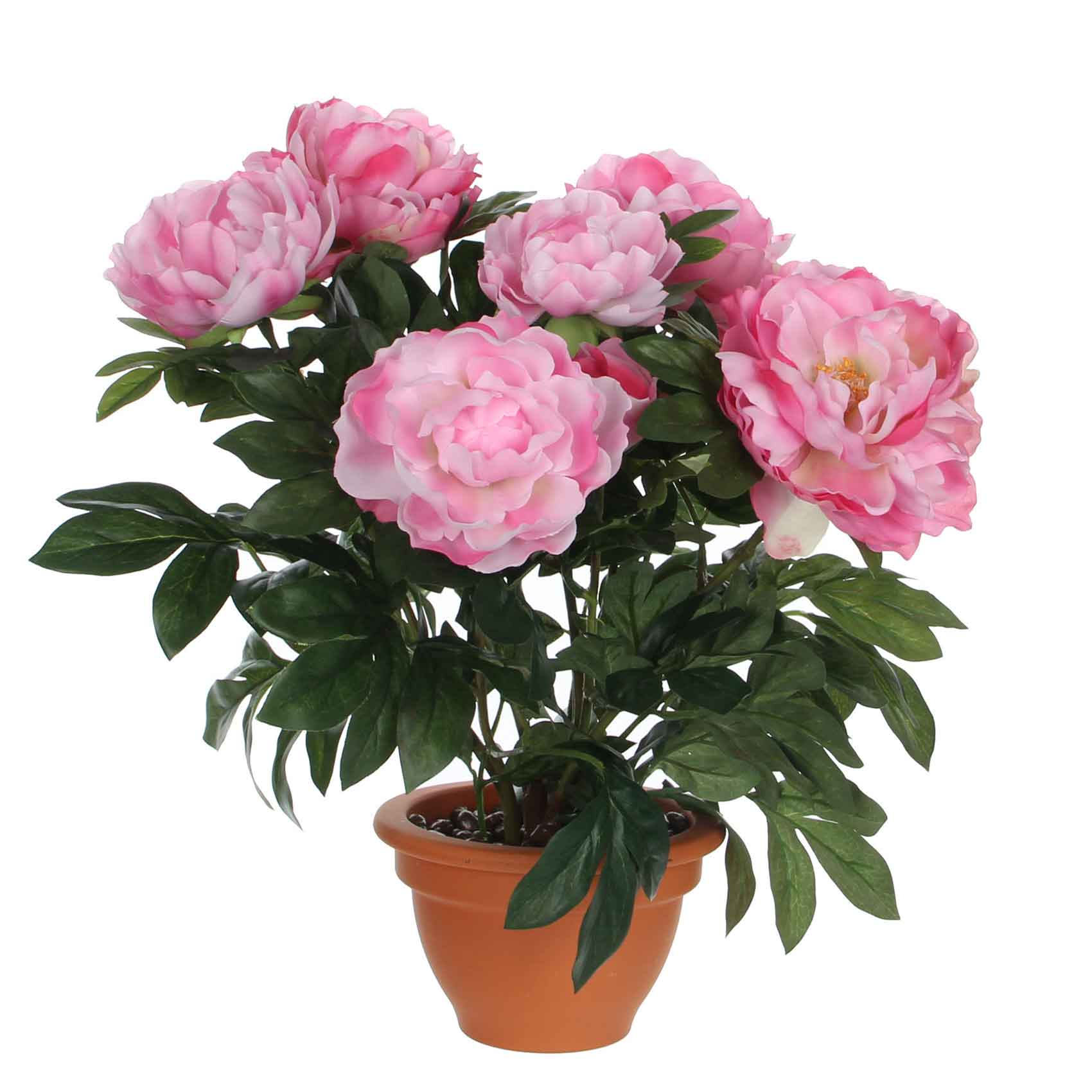 Mica Decorations Pioenroos - H50 x Ø45 cm - Terra - Roze