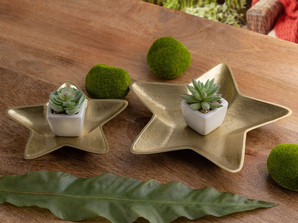 SVJ Schaal - 25x25x3 cm - Aluminium - Goud - Set van 2