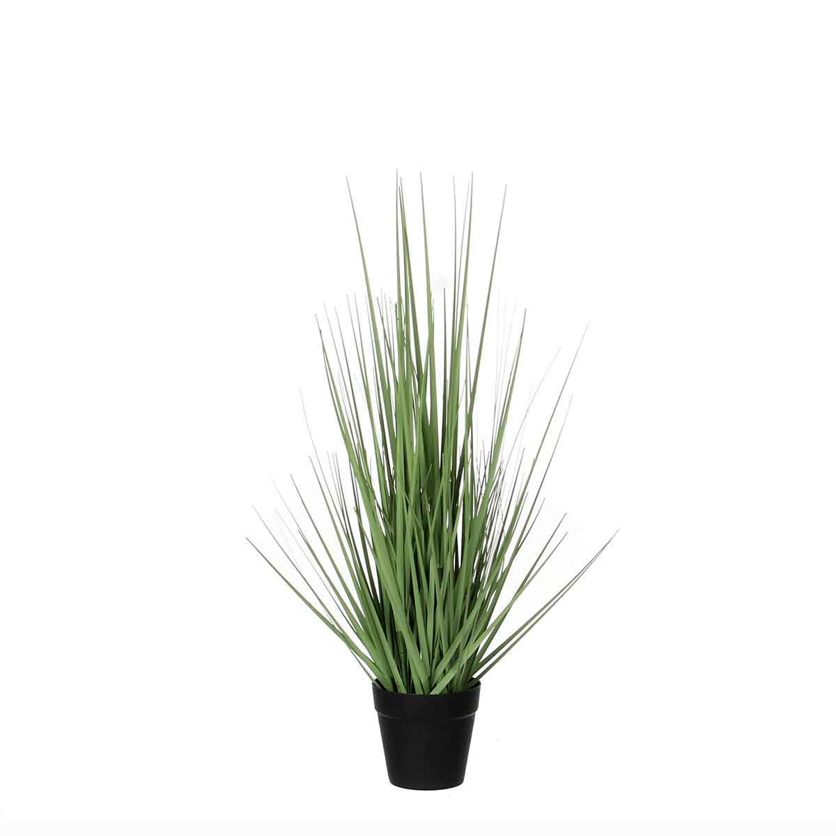 Mica Decorations pluimgras groen in plastic pot maat in cm: 53 x 30