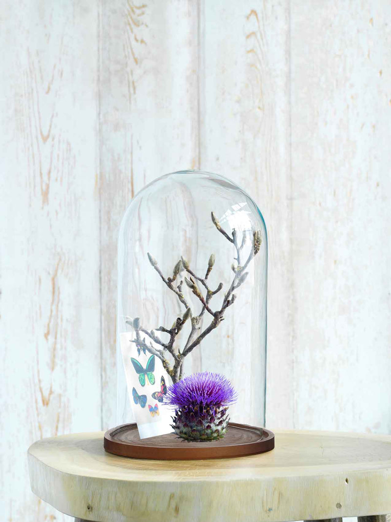 Mica Decorations Hella Stolp - 38x23 cm - Glas - Donkerbruin