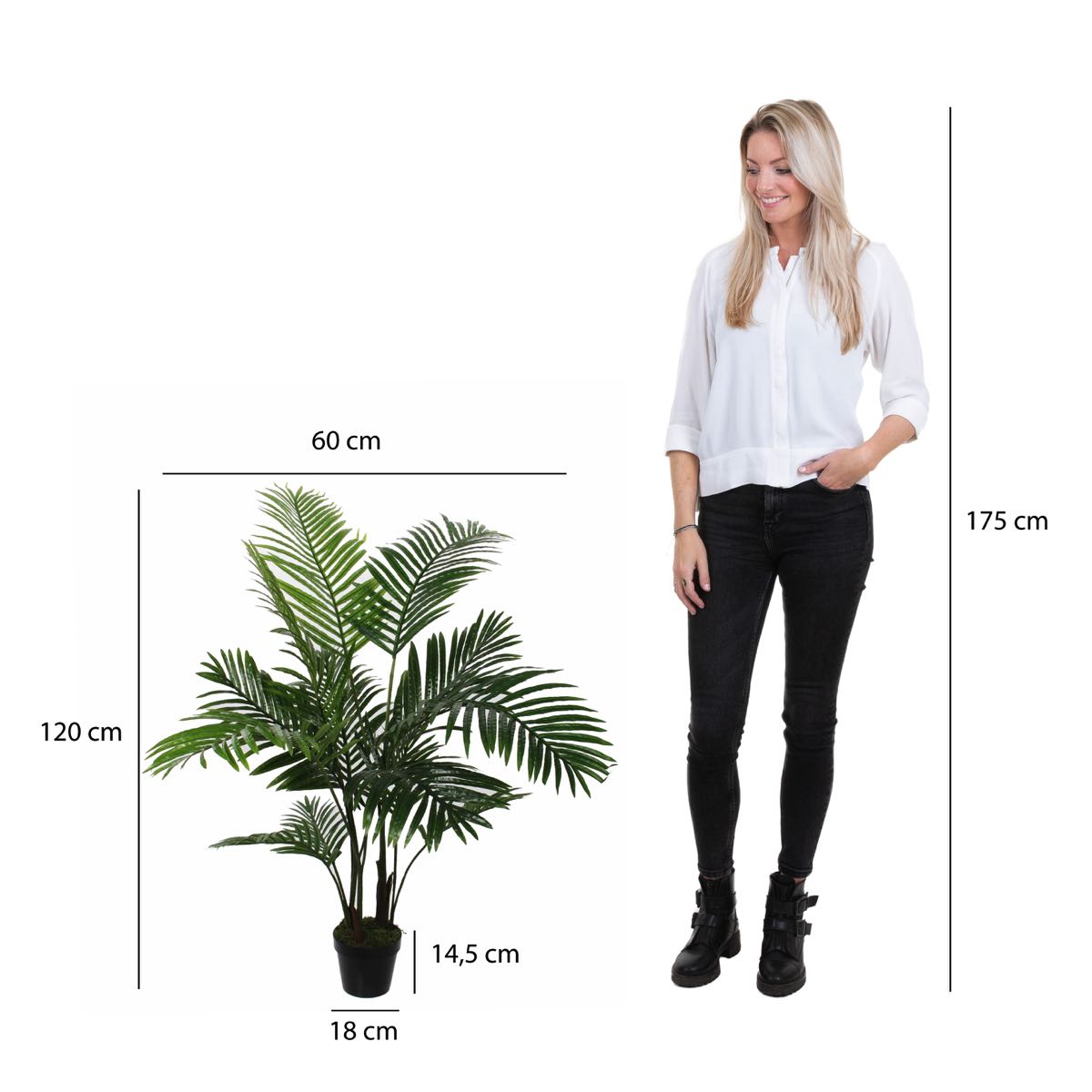 Mica Decorations areca palm in pot maat in cm: 110 x 100