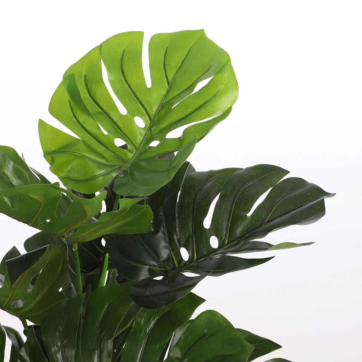 Mica Decorations Monstera Kunstplant - H100 x Ø75 cm - Groen