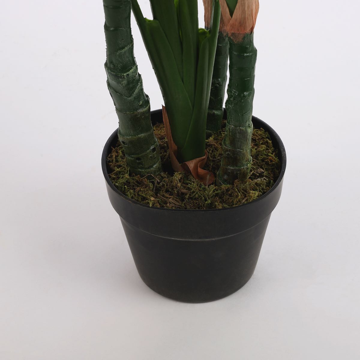 Mica Decorations dieffenbachia in pot maat in cm: 105 x 85