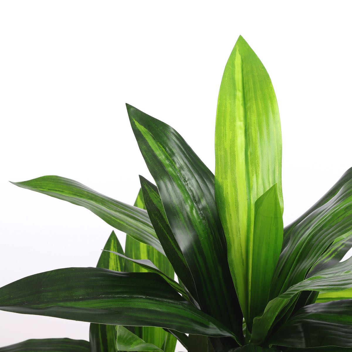 Mica Decorations Dracaena Kunstplant - H95 x Ø60 cm - Groen