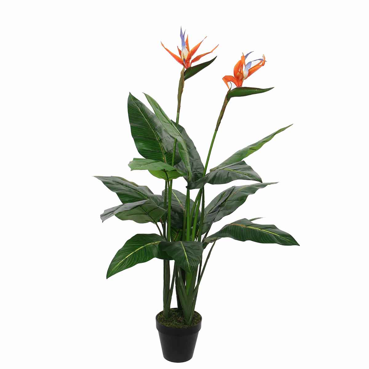 Mica Decorations strelitzia in pot maat in cm: 110 x 75
