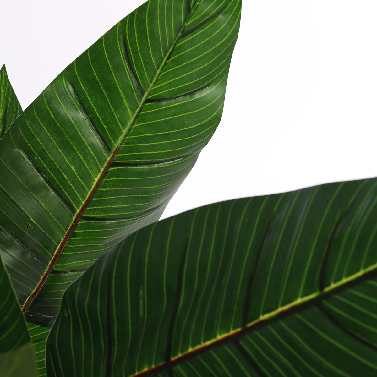 Mica Decorations strelitzia in pot maat in cm: 110 x 75