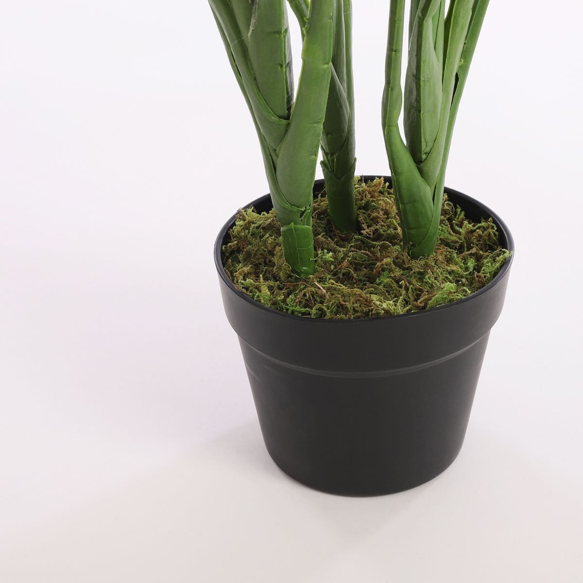 Mica Decorations strelitzia in pot maat in cm: 110 x 75