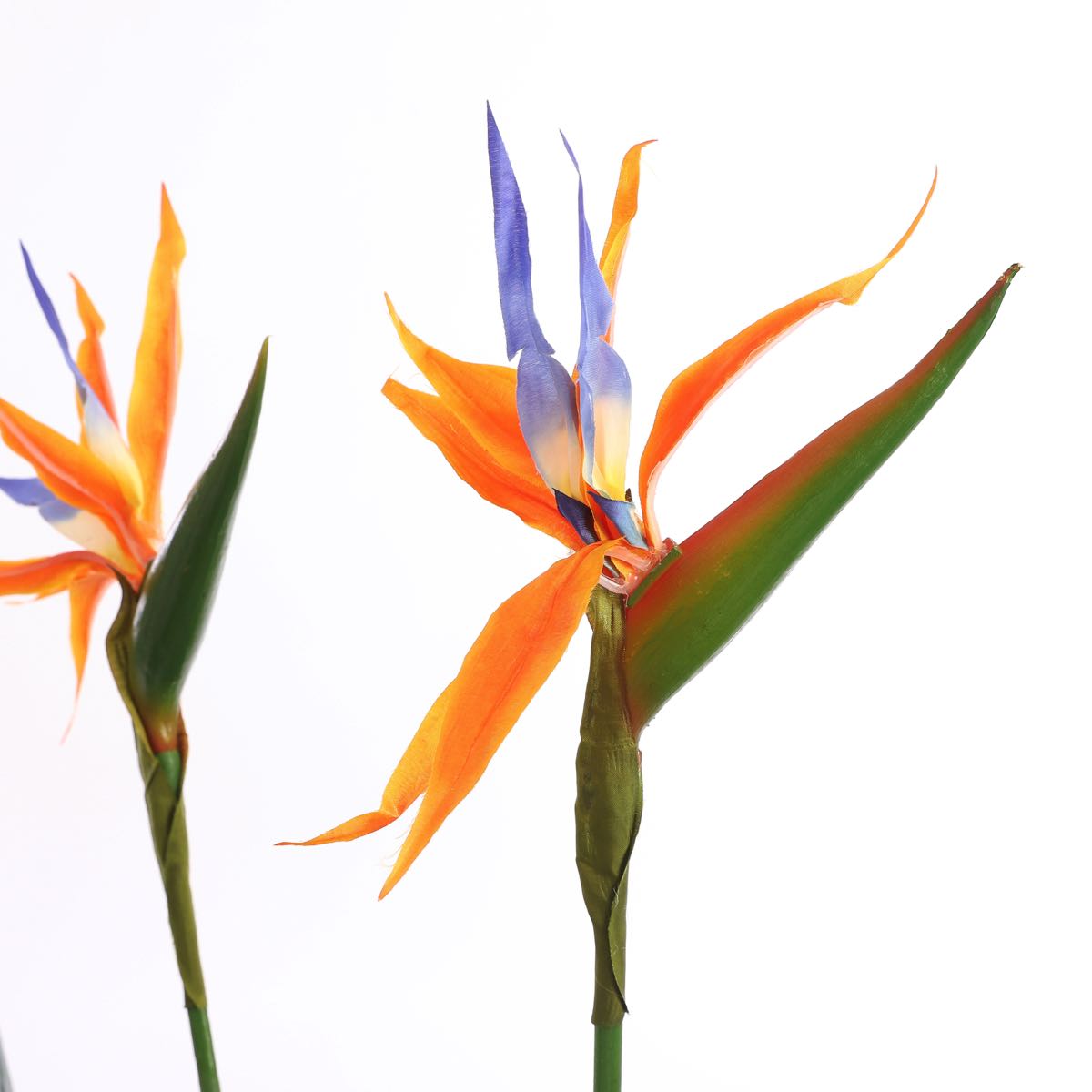 Mica Decorations strelitzia in pot maat in cm: 110 x 75