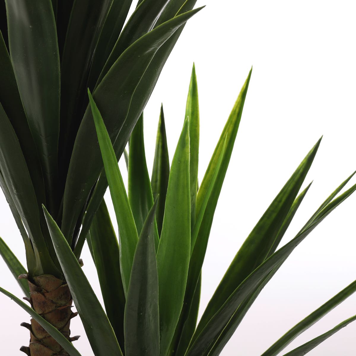 Mica Decorations yucca in pot maat in cm: 120 x 70