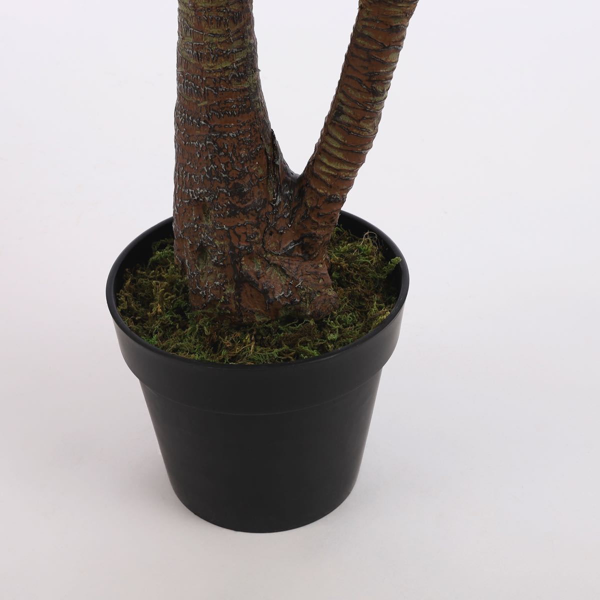 Mica Decorations yucca in pot maat in cm: 120 x 70