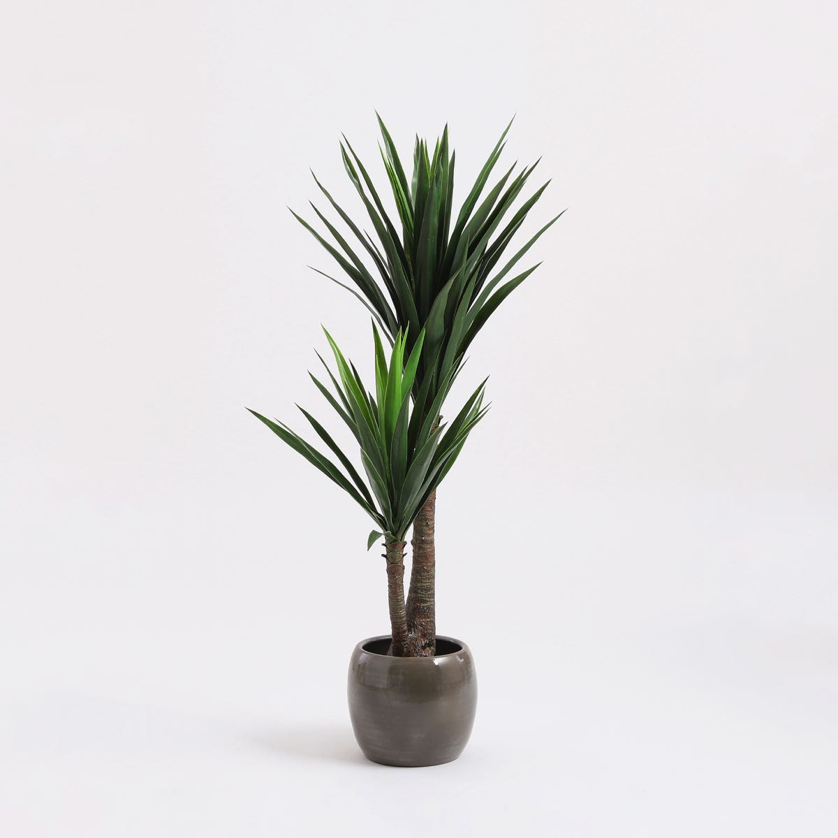 Mica Decorations yucca in pot maat in cm: 120 x 70