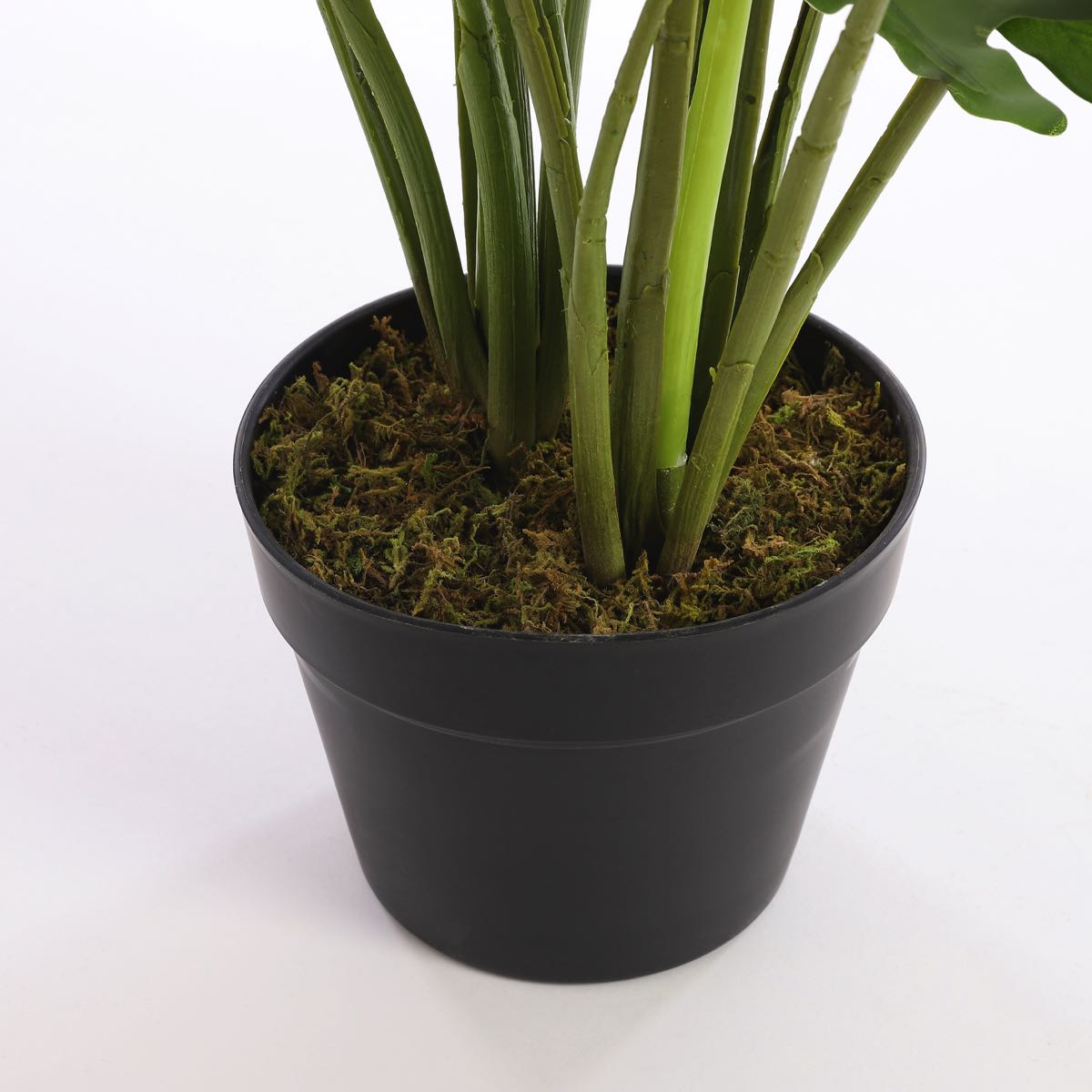 Mica Decorations philodendron in plastic pot maat in cm: 60 x 80
