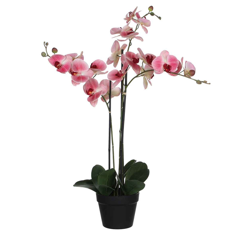 Mica Decorations phalaenopsis in plastic pot roze maat in cm: 75x51x79