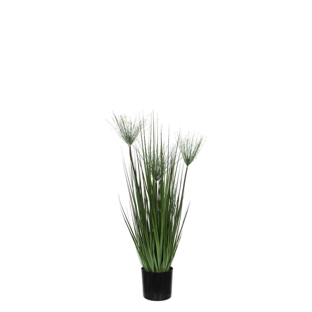 Mica Decorations papyrus in plastic pot maat in cm: 80 x 12,5