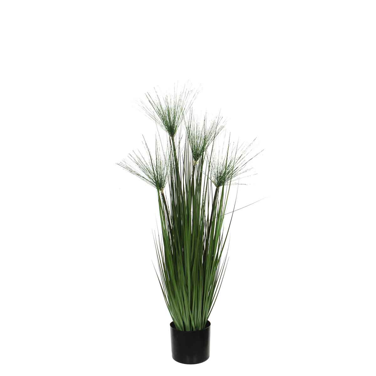 Mica Decorations papyrus in plastic pot maat in cm: 102 x 15