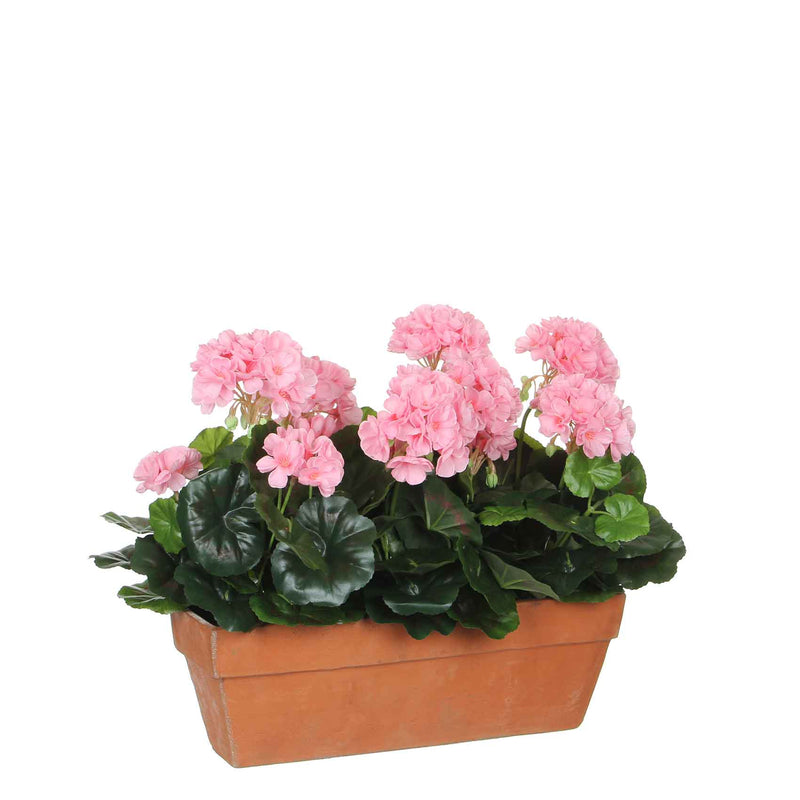 Mica Decorations geranium roze in balkonbak terra maat in cm: 39x13x40