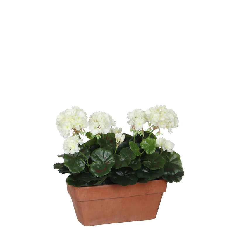 Mica Decorations geranium wit in balkonbak terra maat in cm: 29x13x40