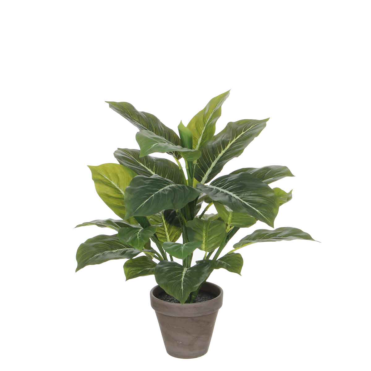 Mica Decorations Evergreen Kunstplant - H49xØ40 cm - Terra pot - Groen
