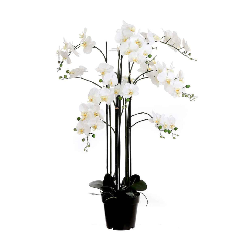 Mica Decorations orchidee in plastic pot creme maat in cm: 35x35x117