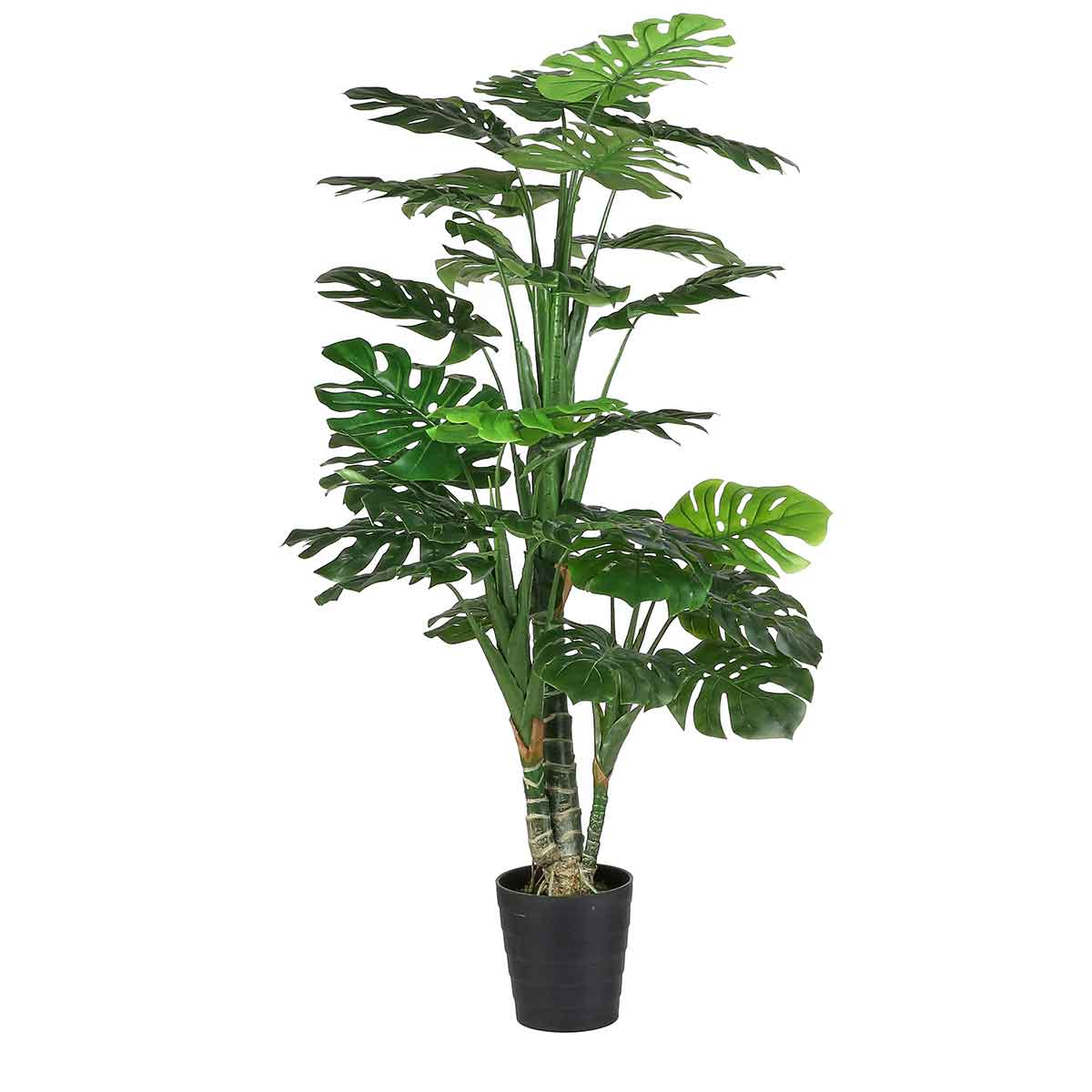 Mica Decorations monstera in plastic pot maat in cm: 160 x 80