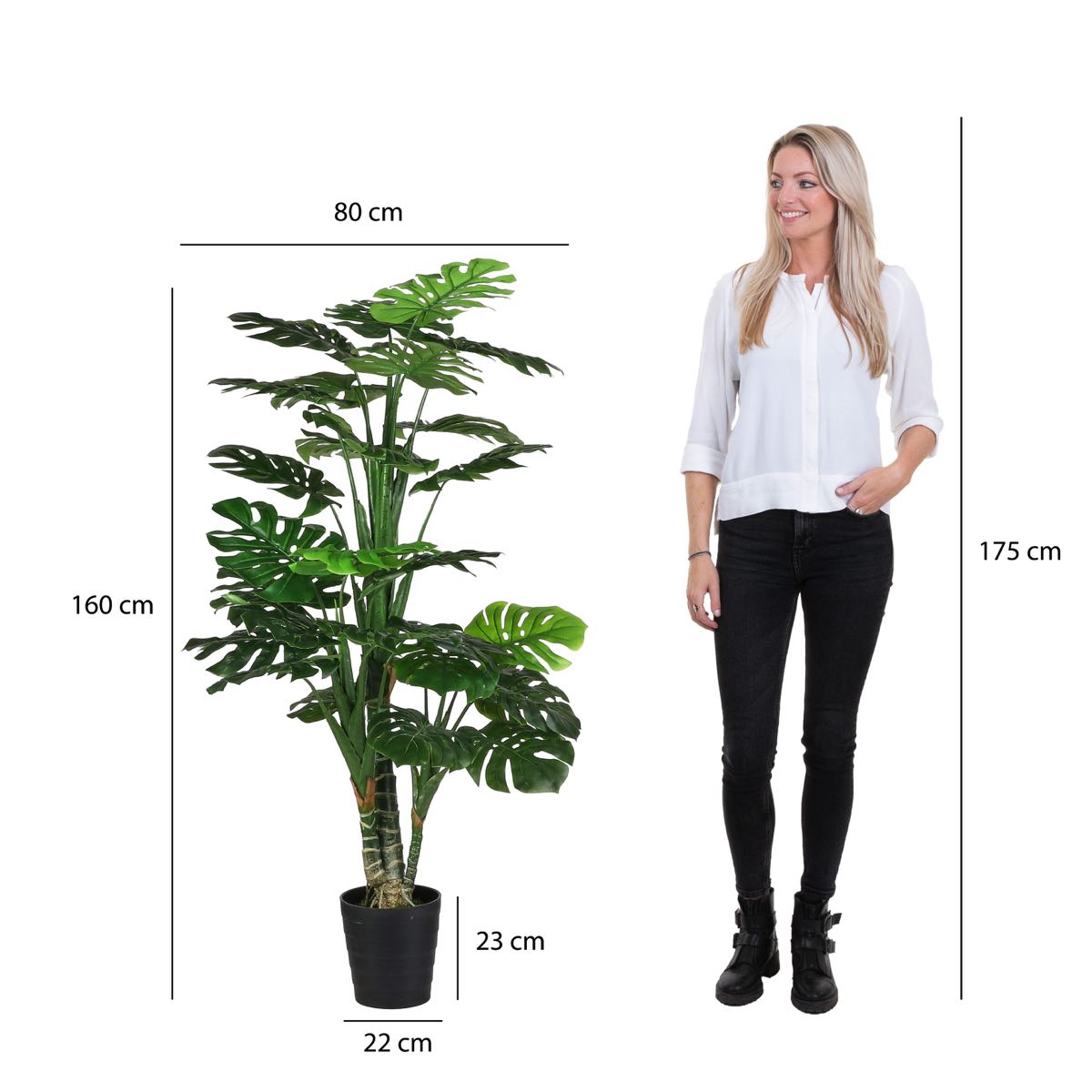 Mica Decorations monstera in plastic pot maat in cm: 160 x 80