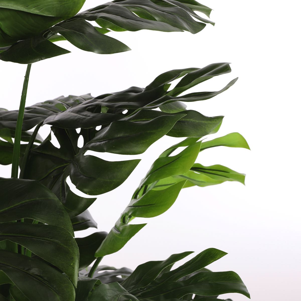 Mica Decorations monstera in plastic pot maat in cm: 160 x 80