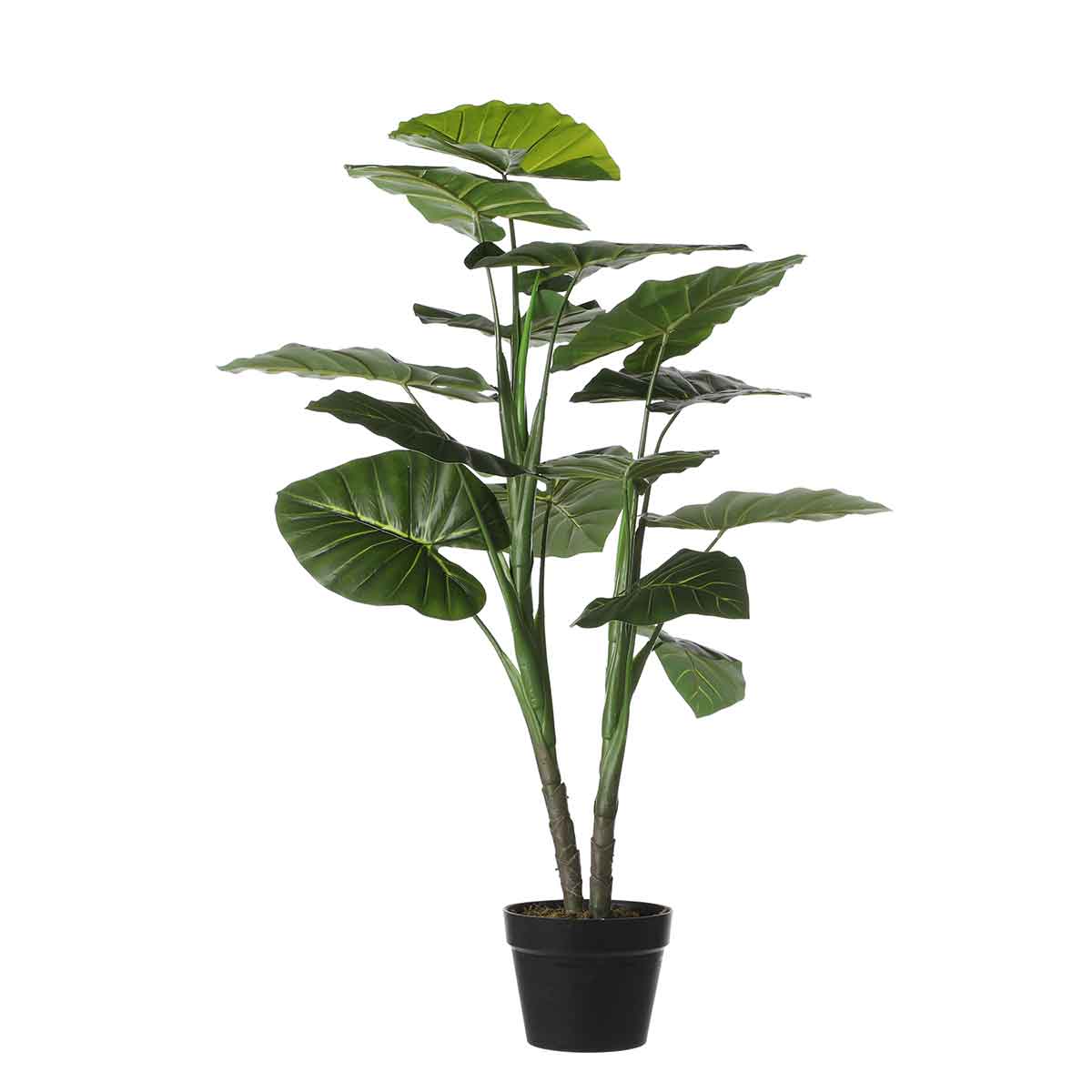 Mica Decorations Taro Kunstplant - H100 x Ø70 cm - Plastic pot - Groen