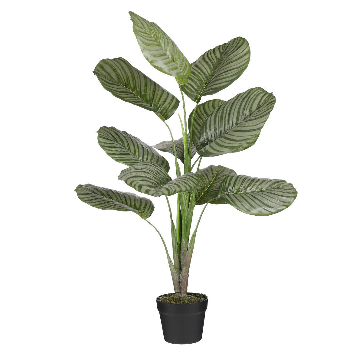 Mica Decorations Calathea Kunstplant - 90x60x90 cm - Polyester - Groen