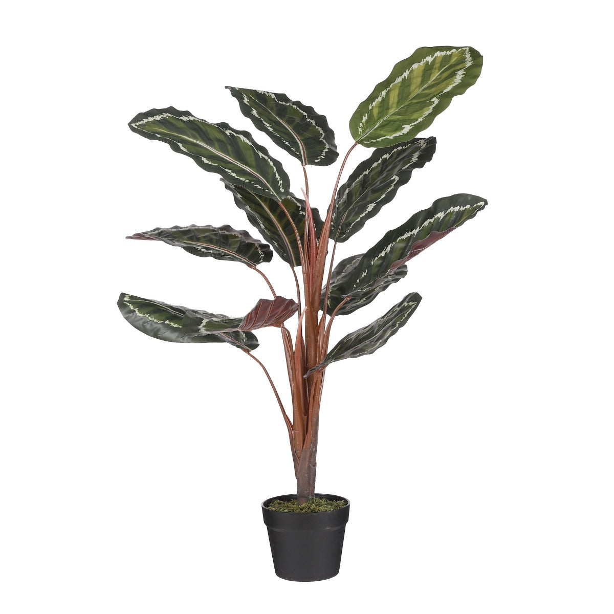 Mica Decorations Calathea roseopicta Kunstplant - 60x60x90 cm - Groen