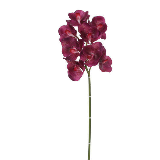 Mica Decorations orchidee maat in cm: 75 paars