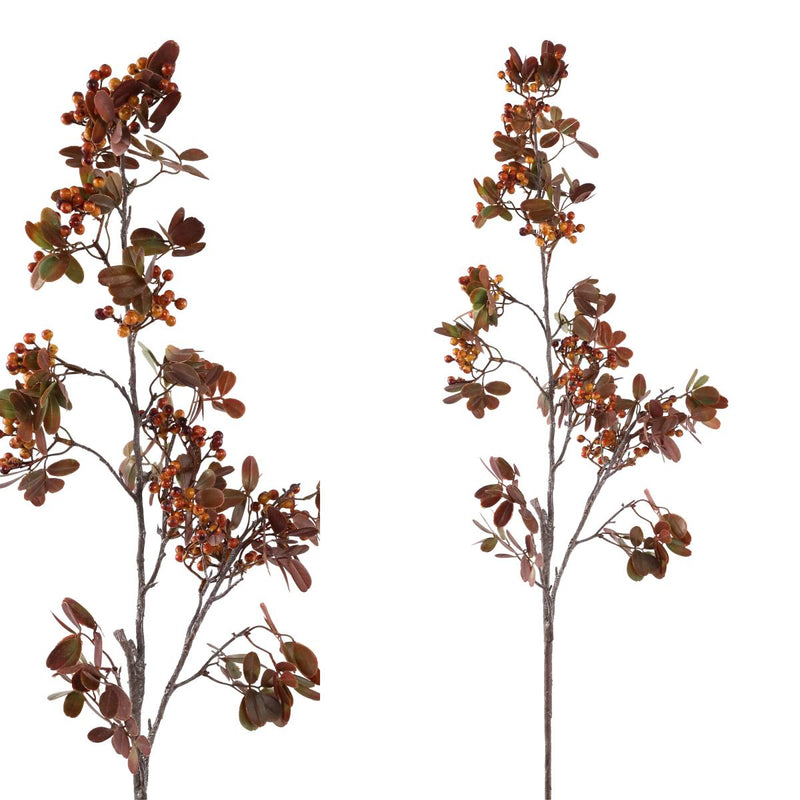 PTMD Berry Kunstplant - 49 x 33 x 89 cm  - Kunststof - Rood