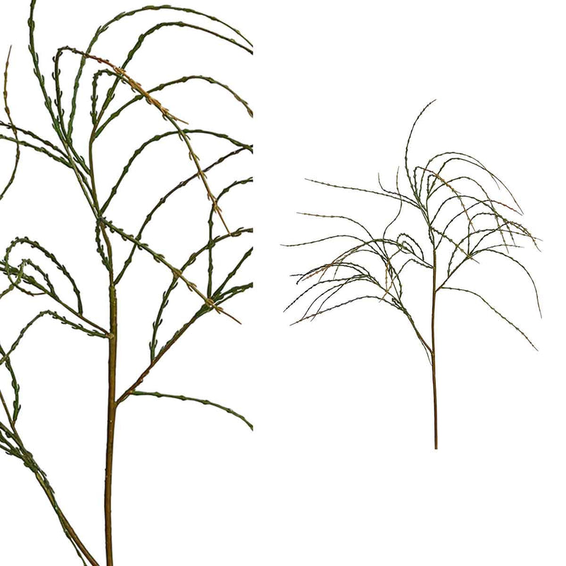 PTMD Succulent Willaagtak Kunstplant - 63 x 22 x 118 cm - Groen