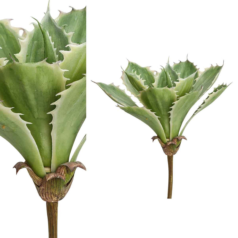 PTMD Succulent Aloe Vera Pluk Kunstplant - 19 x 20 x 31 cm - Groen