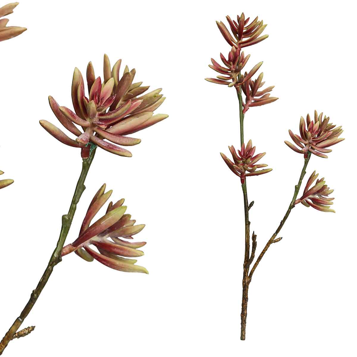 PTMD Succulent Aloe Plicatilistak Kunstplant - 31 x 10 x 49 cm - Rood