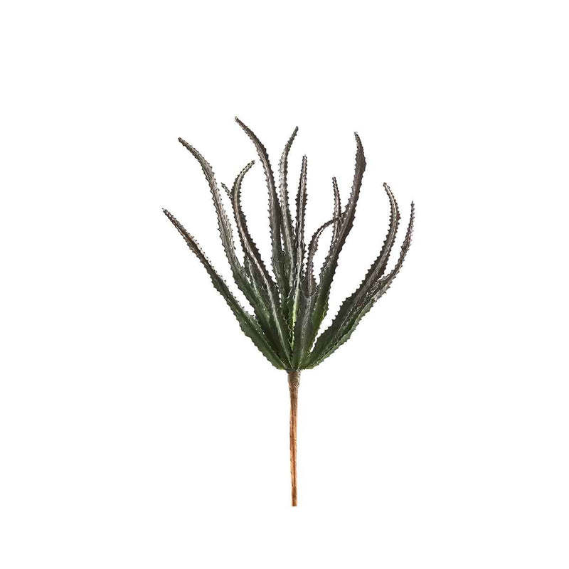 PTMD Succulent Haworthiastruik Kunstplant - 18 x 11 x 27 cm - Groen