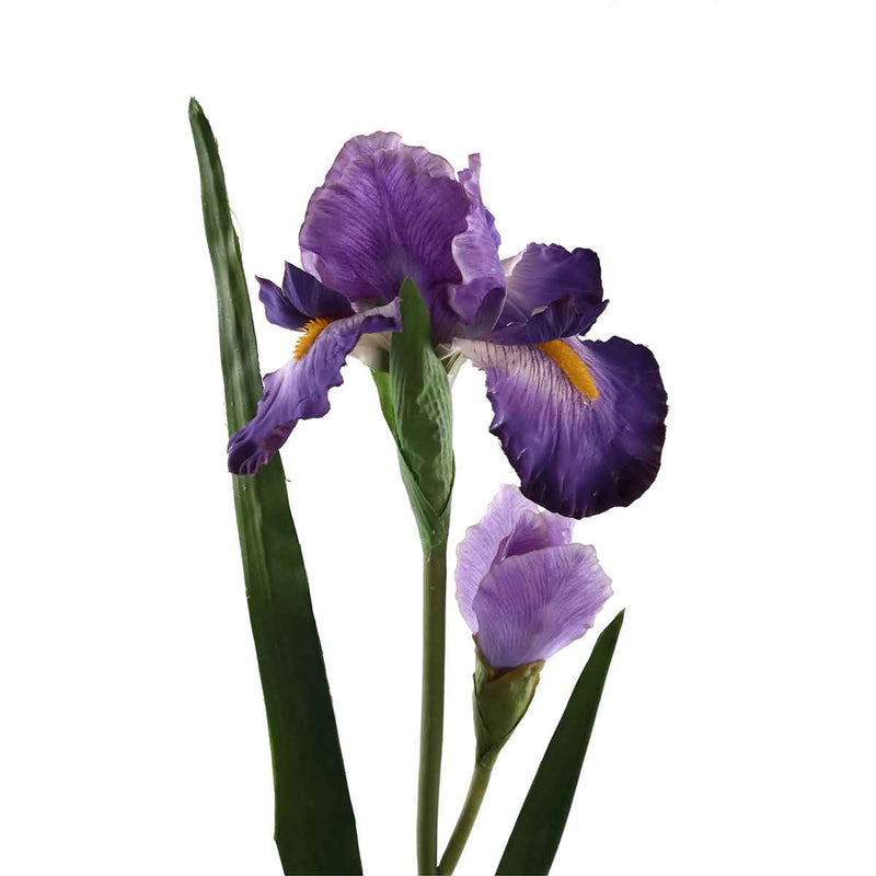 PTMD Garden Bloem Iris Kunsttak - 70 x 21 x 95 cm - Paars