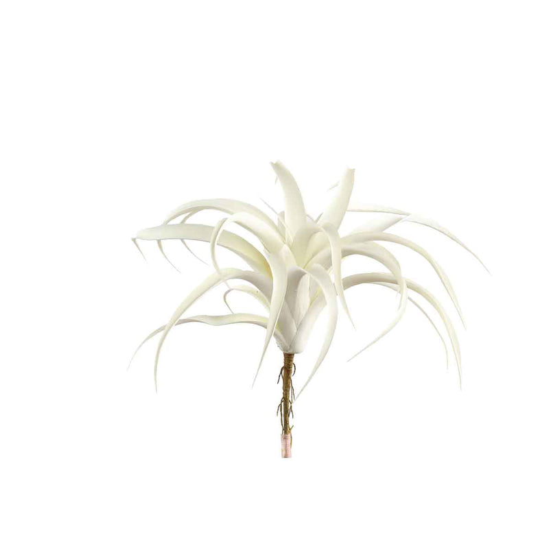 PTMD Tillandsia Blad Kunsttak - 30 x 30 x 29 cm - Wit