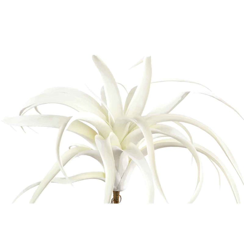 PTMD Tillandsia Blad Kunsttak - 30 x 30 x 29 cm - Wit