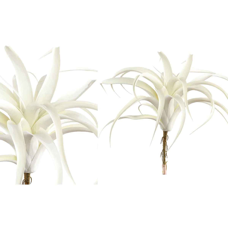 PTMD Tillandsia Blad Kunsttak - 30 x 30 x 29 cm - Wit