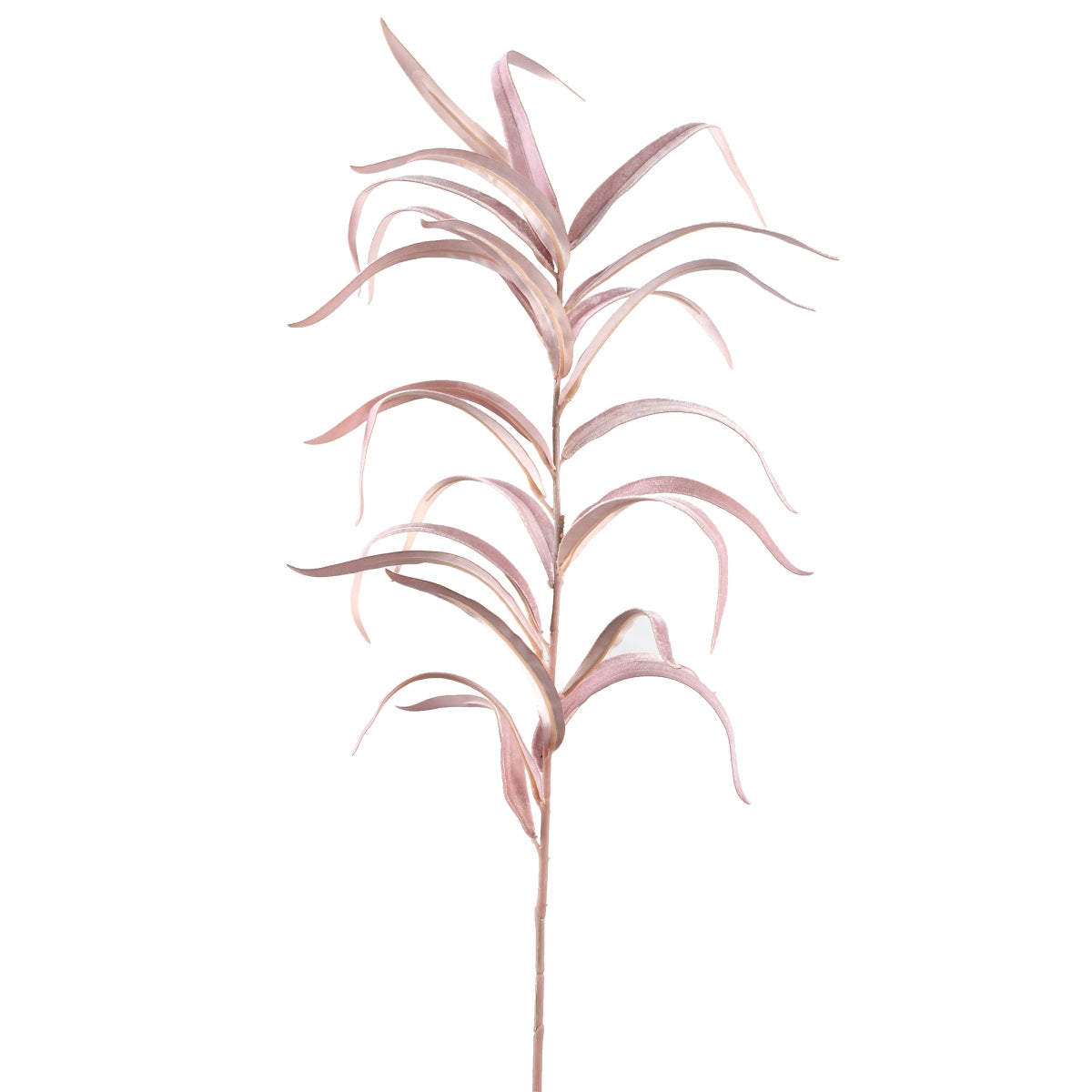 PTMD Leaves Plant Eucalyptus Kunsttak - 47x36x98 cm - Velvet - Roze