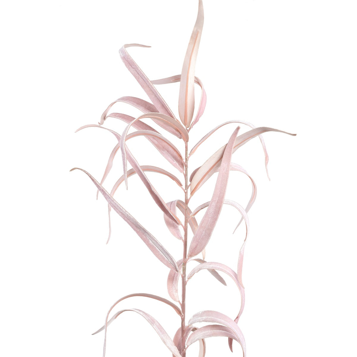 PTMD Leaves Plant Eucalyptus Kunsttak - 47x36x98 cm - Velvet - Roze