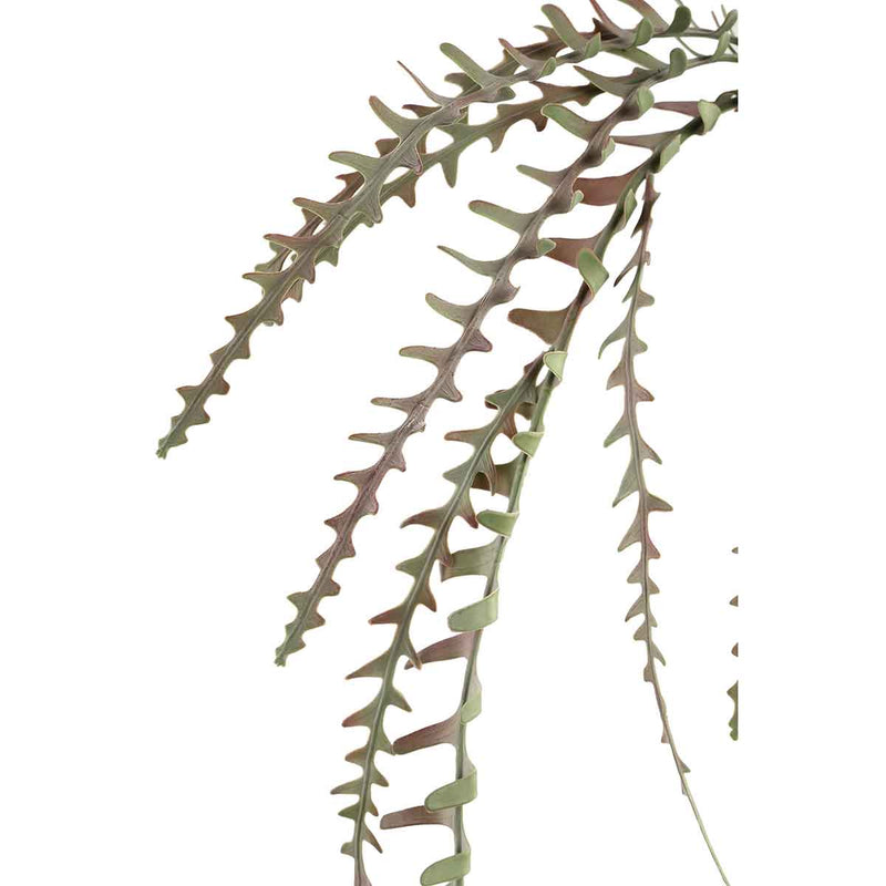 PTMD Leaves Plant Hangende Pinnate Kunstplant - 116x30x126 cm - Rood