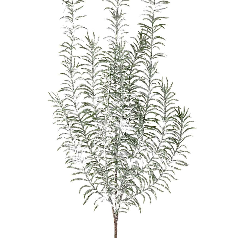 PTMD Leaves Plant Asparagus Kunsttak - 59 x 23 x 74 cm - Besneeuwd