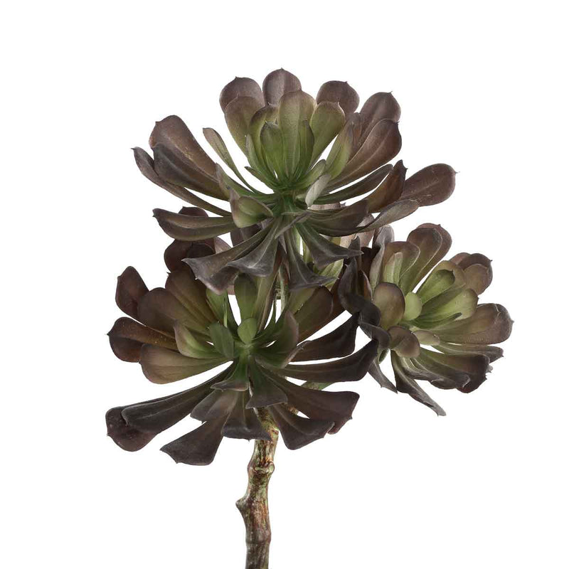 PTMD Aeoniumpluk Succulent Kunstplant - 18 x 15 x 30 cm - Grijs/groen