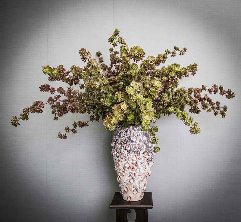 PTMD Succulent Mini Echeveria Kunstplant - 60 x 20 x 105 cm - Paars
