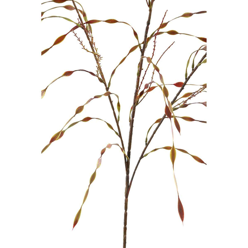 PTMD Leaves Plant Willaag Kunsttak - 66 x 56 x 102 cm - Bruin