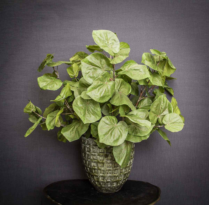 PTMD Leaves Plant Zee Grape Blad Kunsttak - 76 x 49 x 120 cm - Groen