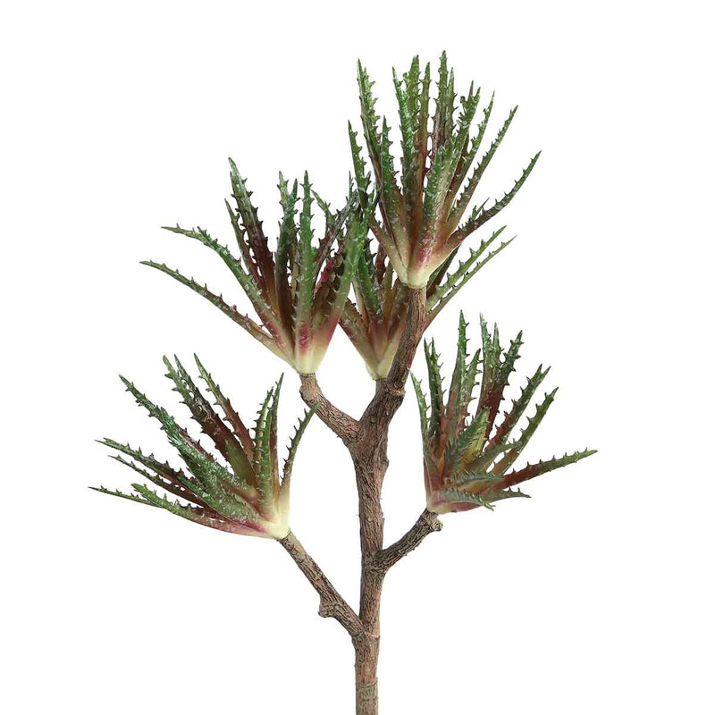 PTMD Succulent Aloe Kunstplant - 21 x 20 x 37 cm - Groen/roze