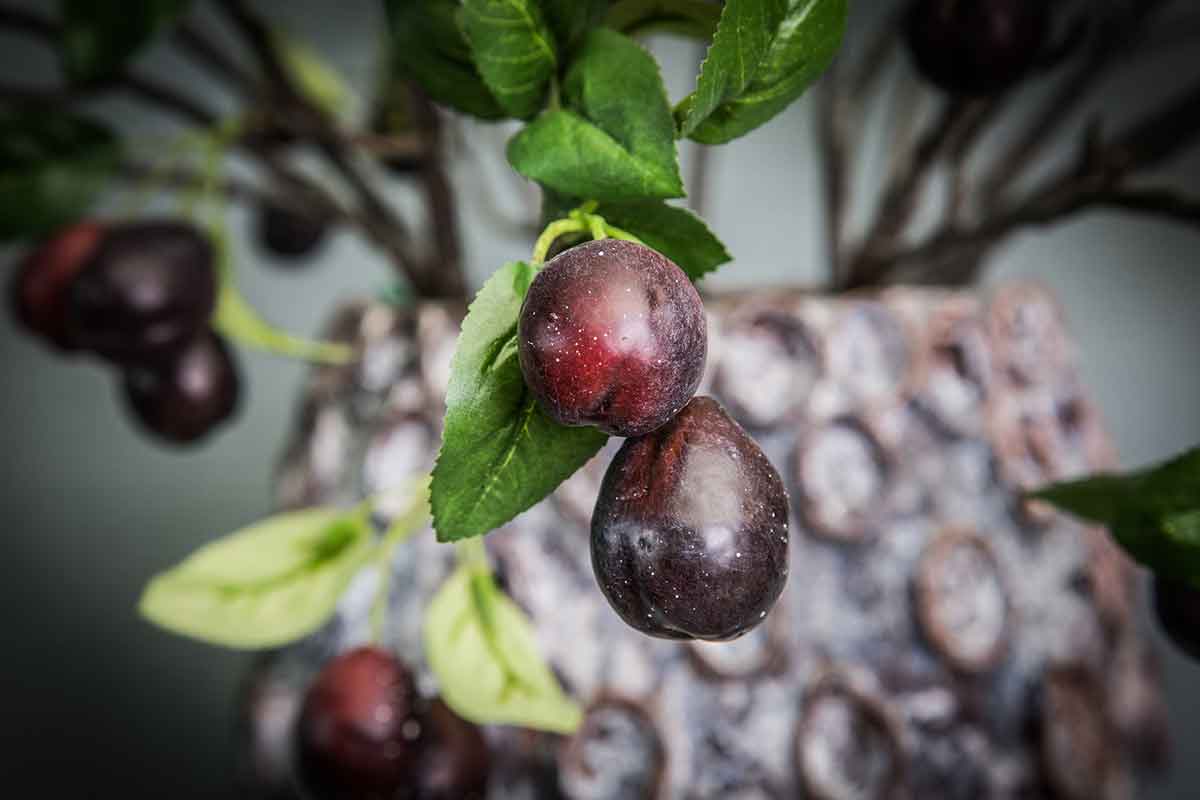 PTMD Berry Plant Pruimen Kunsttak - 52 x 30 x 88 cm - Bordeaux